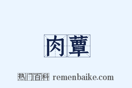 肉蕈是什么意思的图片